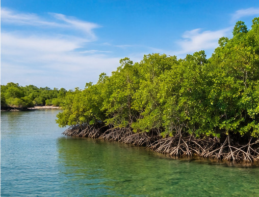 Blue Economy and Climate Change
